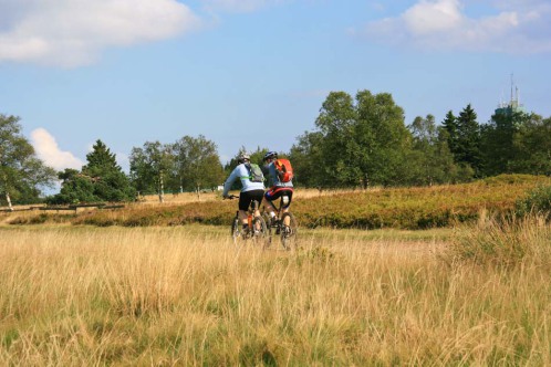 Astenheide