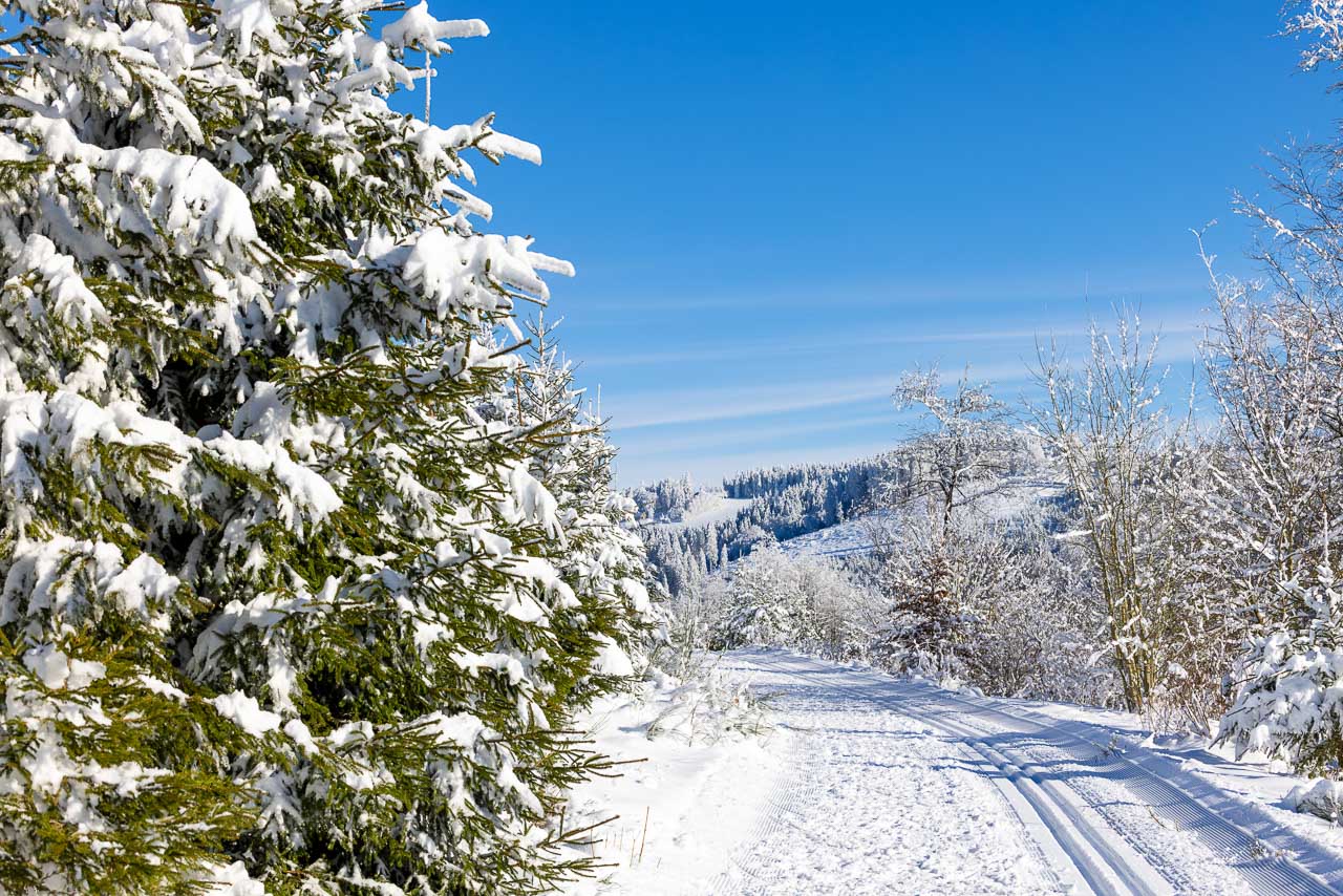 Loipe auf dem Hohen Knochen