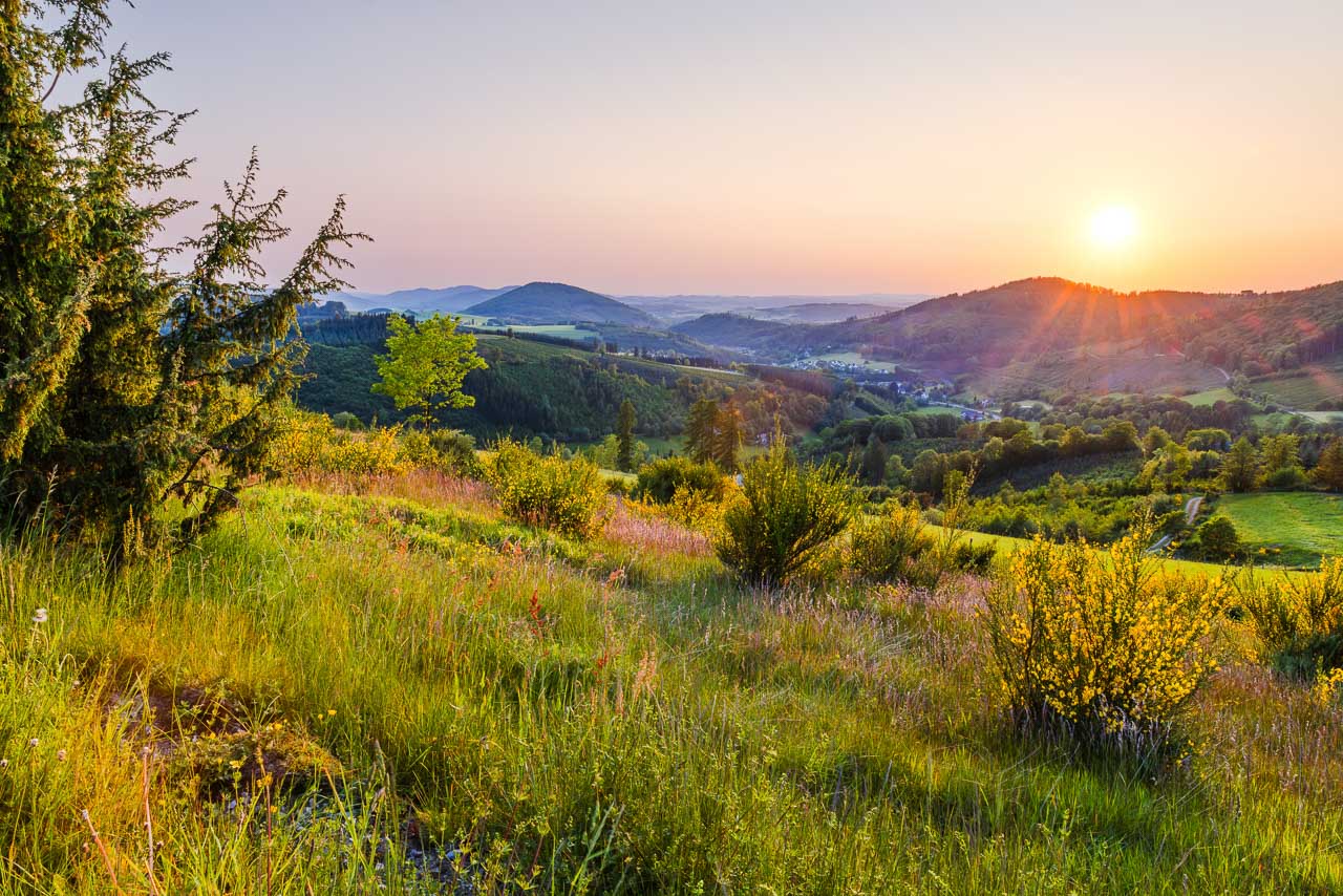 Abendstimmung im NSG auf der Sommerseite 1